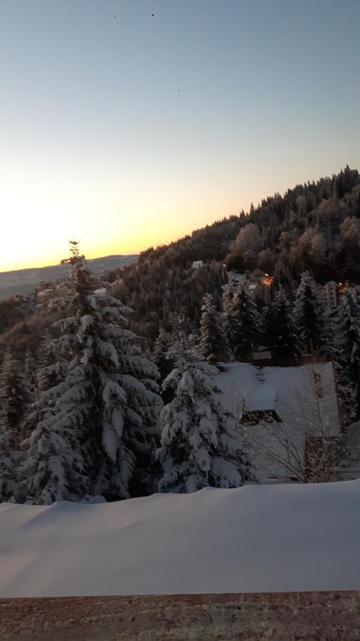 Vila Natasa Kopaonik Exteriér fotografie