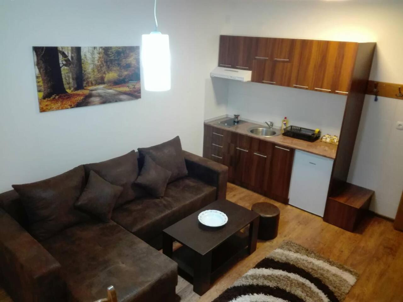 Vila Natasa Kopaonik Exteriér fotografie